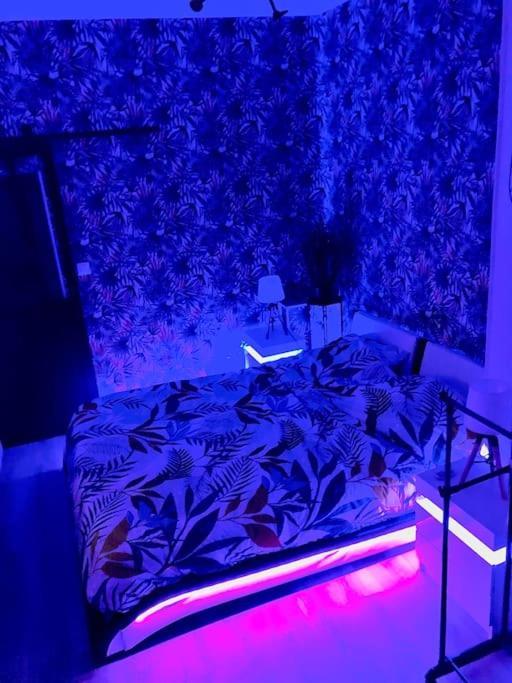 Le Led Room,Centre Ville Place De Parking Gratuite ซ็องส์ ภายนอก รูปภาพ